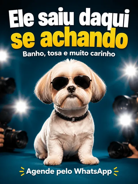 biblioteca-17